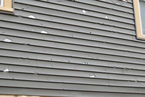 Best Custom Trim and Detailing for Siding  in Lake Park, IA